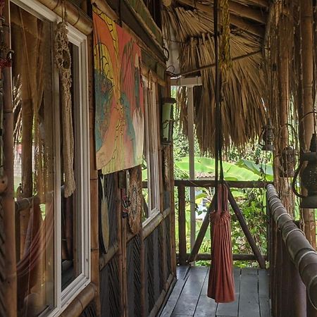 La Natura Hostel & Pool Palomino Ngoại thất bức ảnh