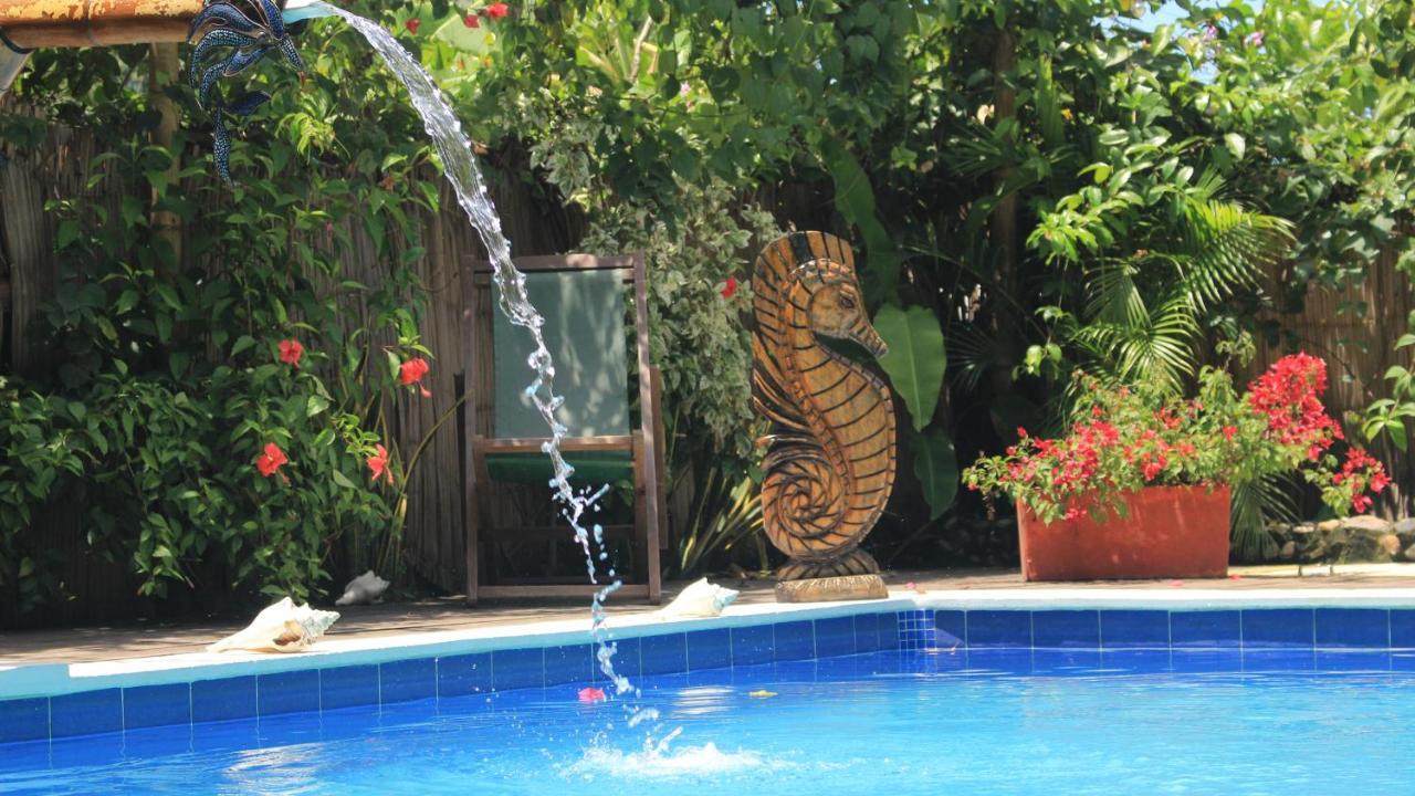 La Natura Hostel & Pool Palomino Ngoại thất bức ảnh