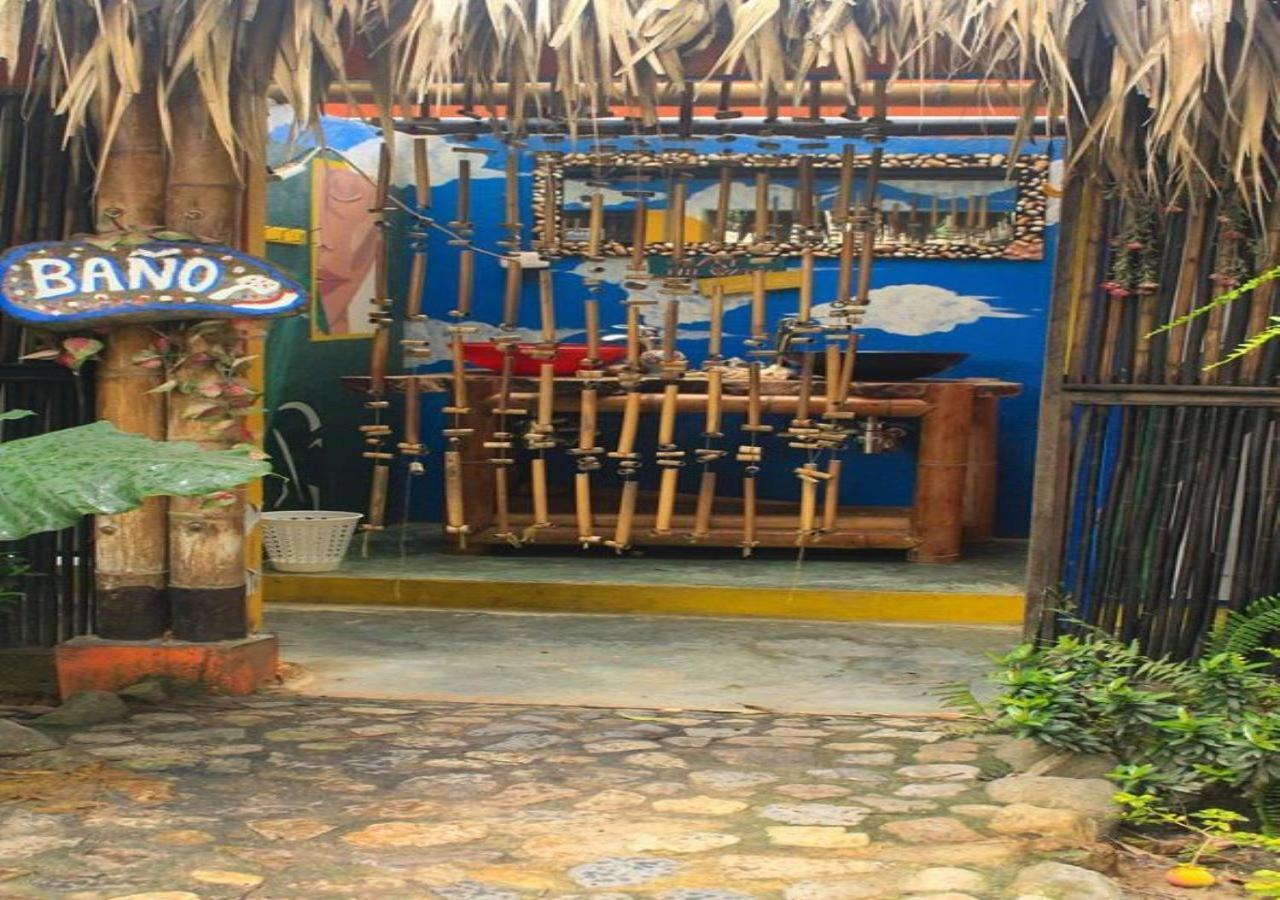 La Natura Hostel & Pool Palomino Ngoại thất bức ảnh