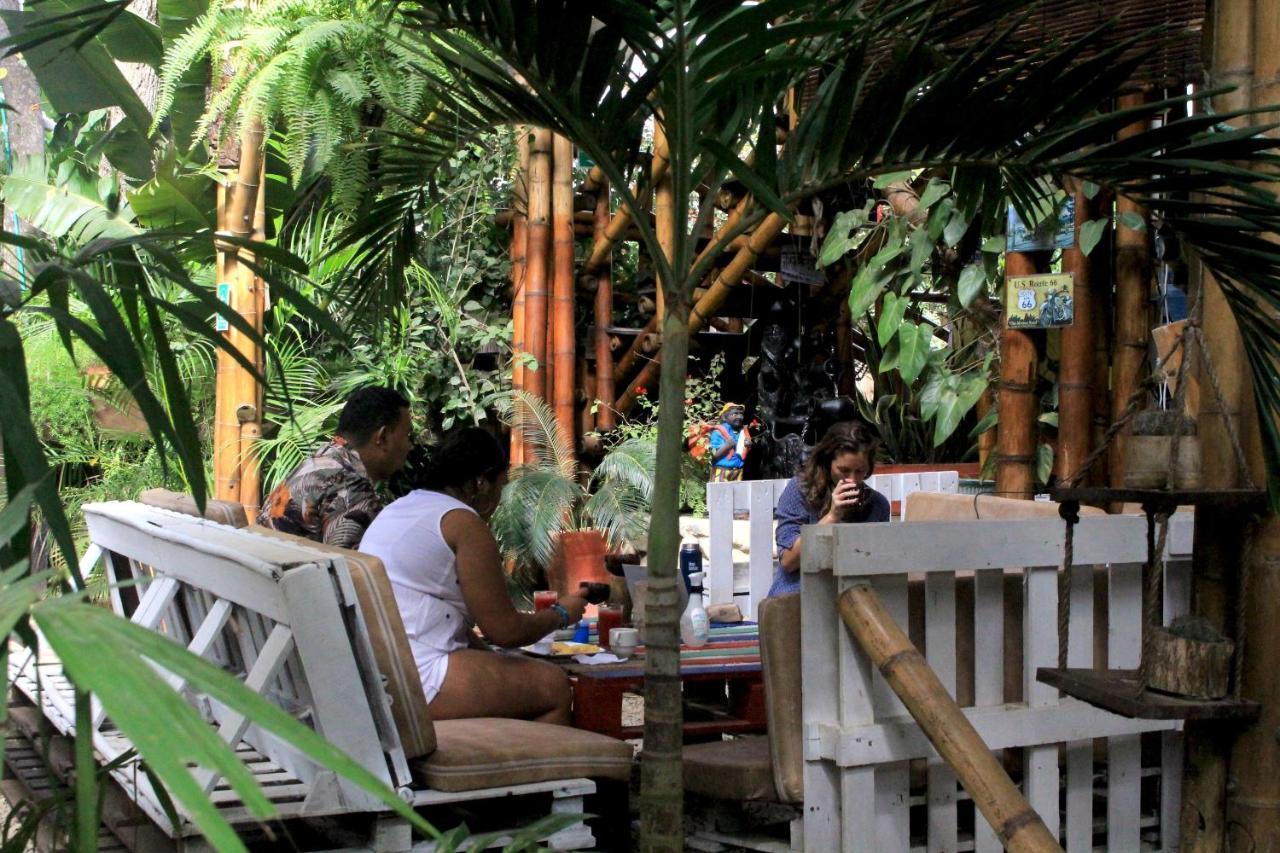 La Natura Hostel & Pool Palomino Ngoại thất bức ảnh