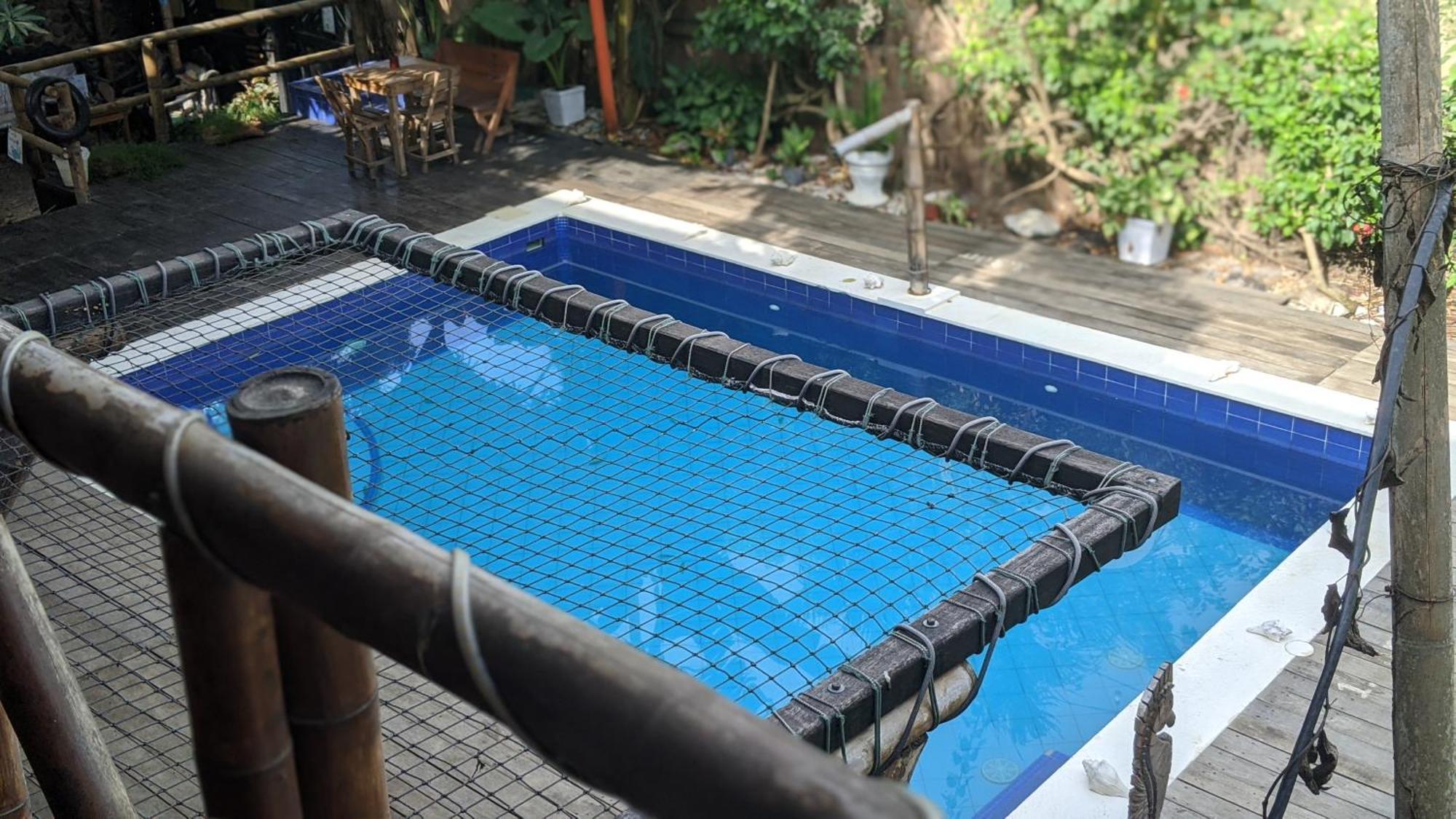 La Natura Hostel & Pool Palomino Ngoại thất bức ảnh