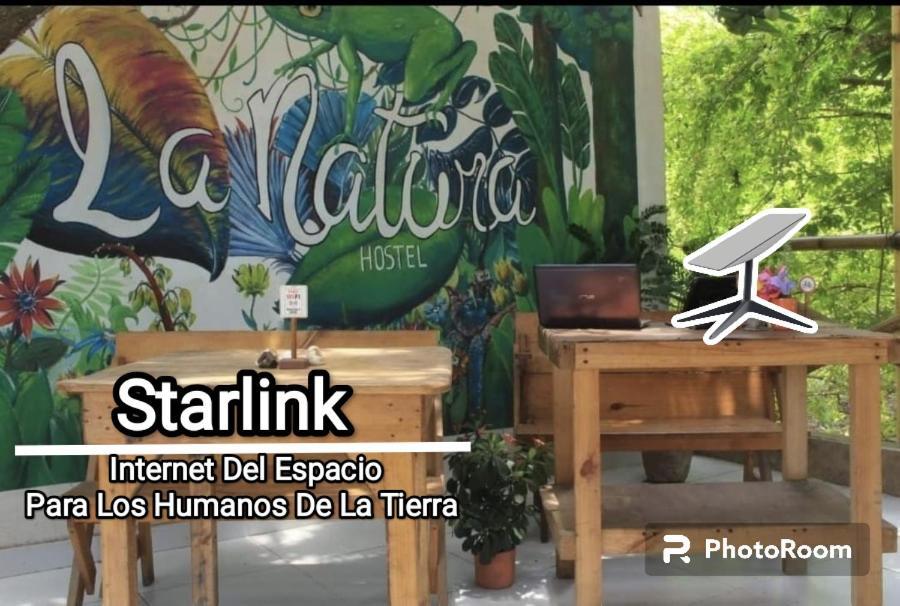 La Natura Hostel & Pool Palomino Ngoại thất bức ảnh
