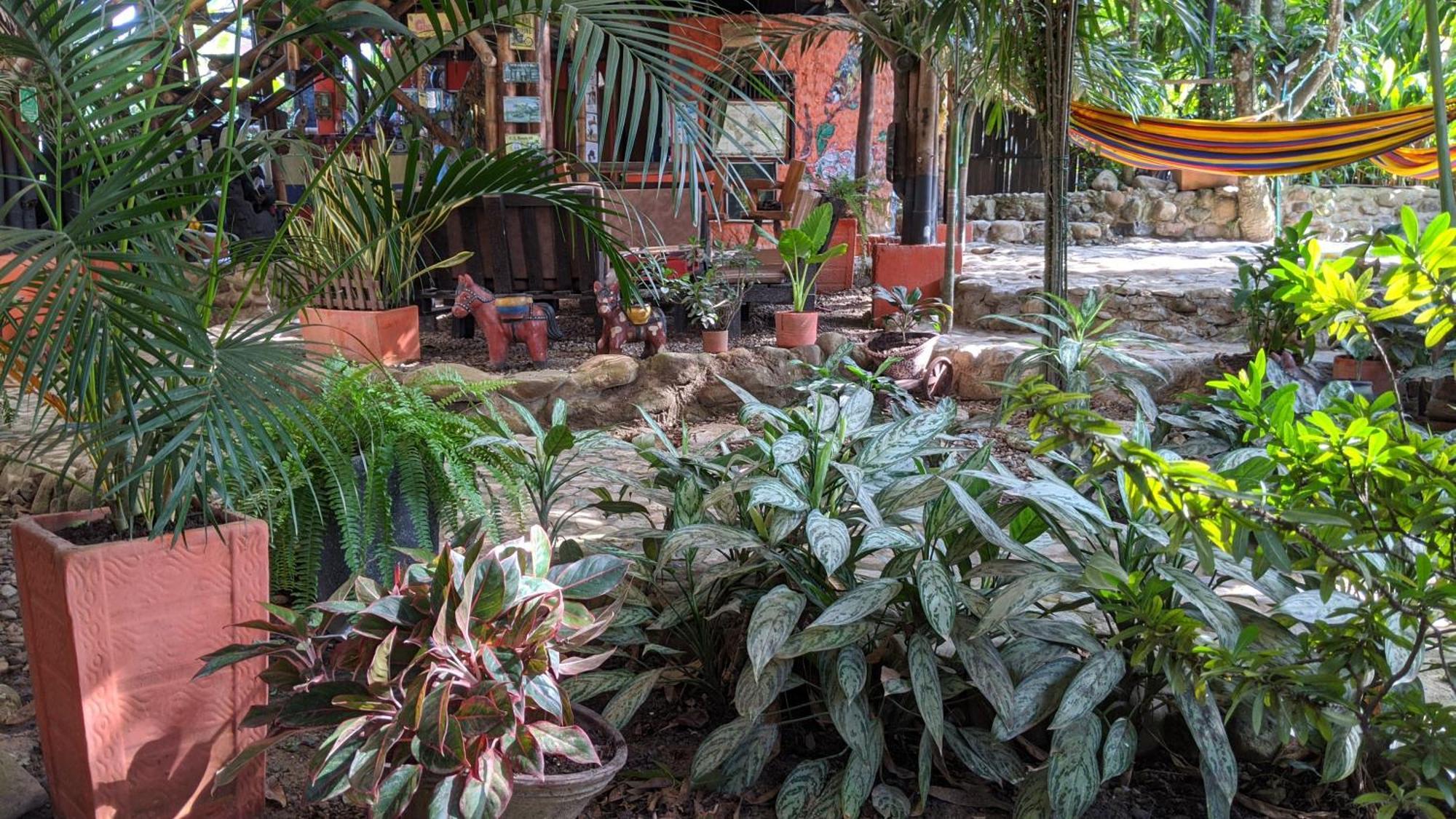 La Natura Hostel & Pool Palomino Ngoại thất bức ảnh
