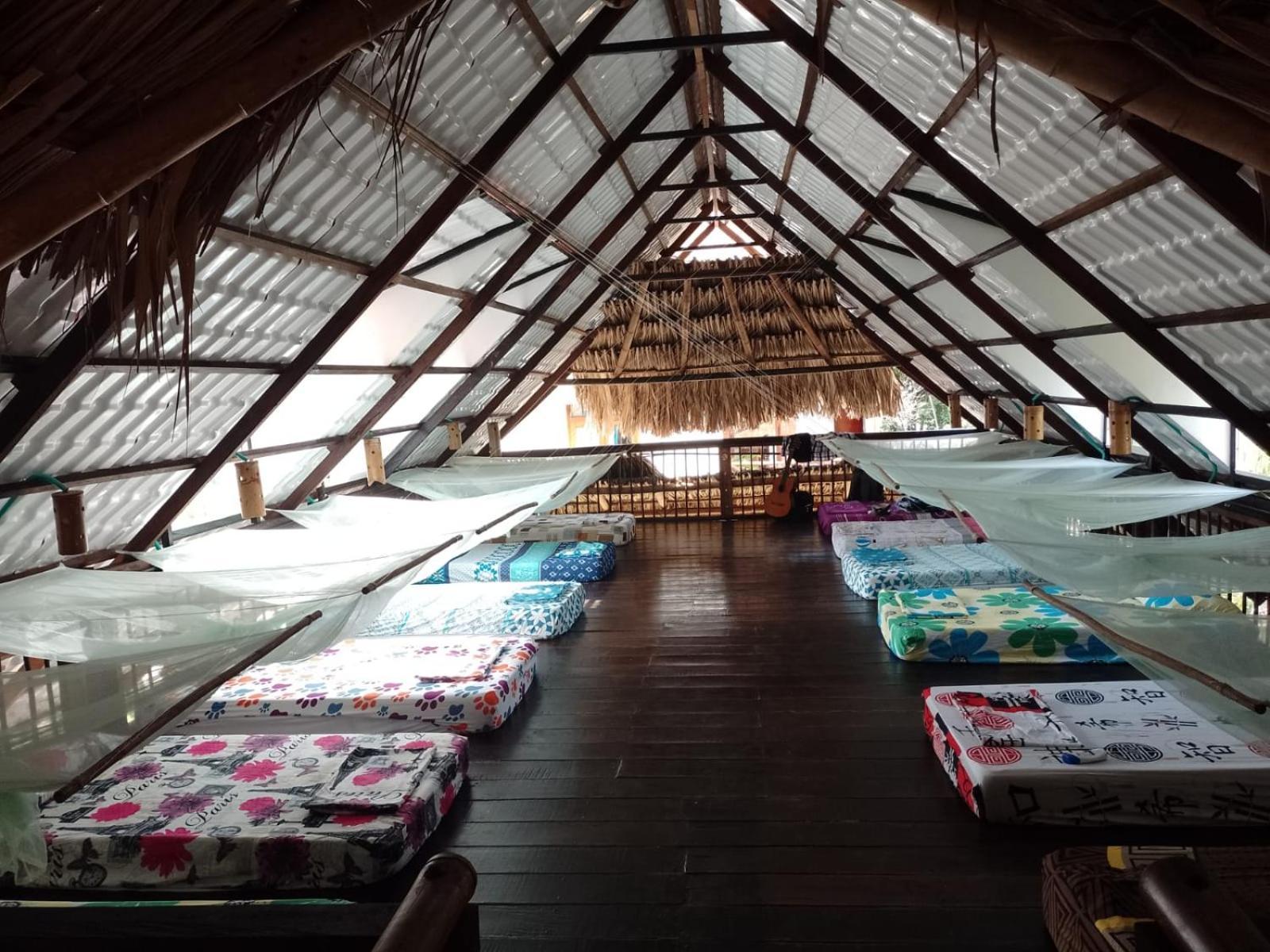 La Natura Hostel & Pool Palomino Ngoại thất bức ảnh