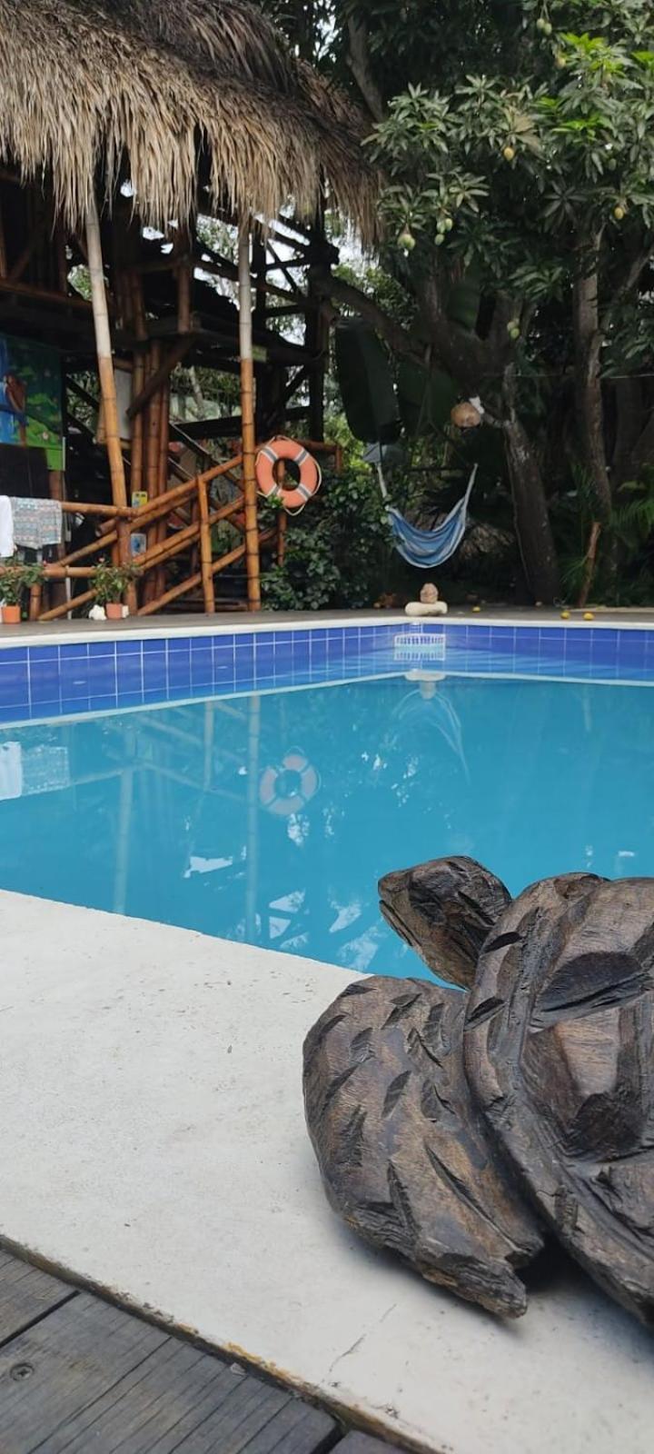 La Natura Hostel & Pool Palomino Ngoại thất bức ảnh
