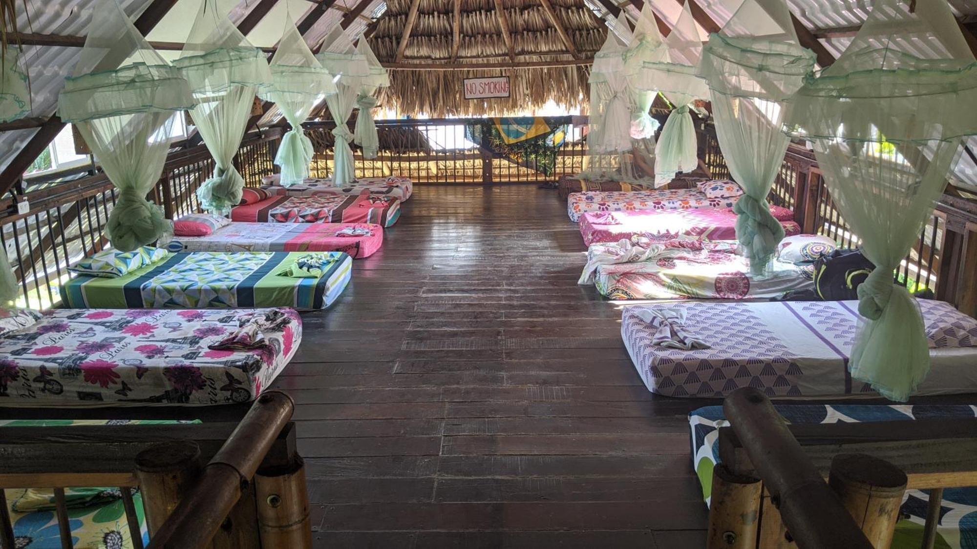 La Natura Hostel & Pool Palomino Ngoại thất bức ảnh