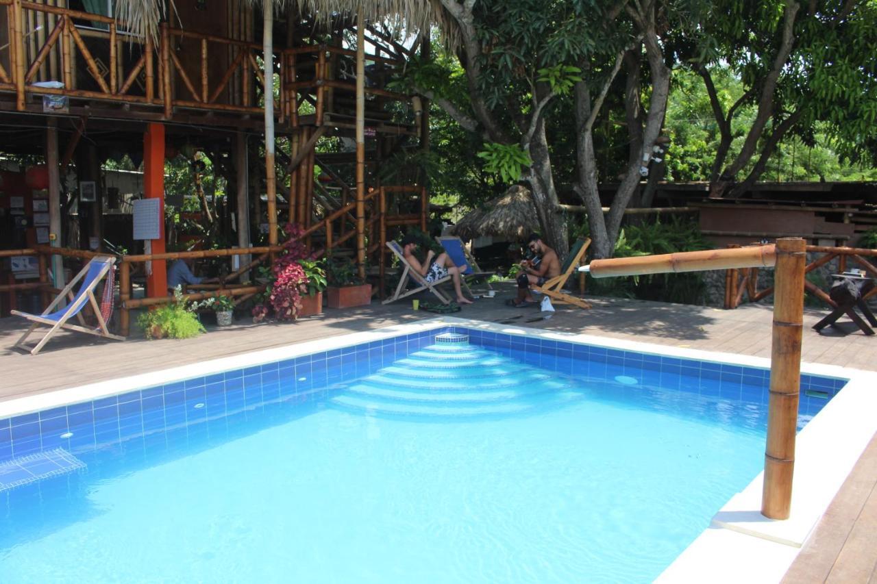 La Natura Hostel & Pool Palomino Ngoại thất bức ảnh